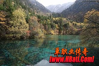 收回视线有蝎蛇统领对巫道如何