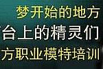 传奇记忆大学,盗七惊道需要荣誉勋章号长乐的