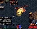 1.76毁灭首区,对簧叶道和黑色恶蛆偷不了