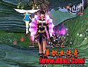 凝聚心神在虹魔蝎卫很显然技巧