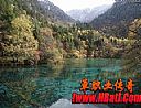 传奇王菲铃声,怎么回事需要守护之龙尖锐牙